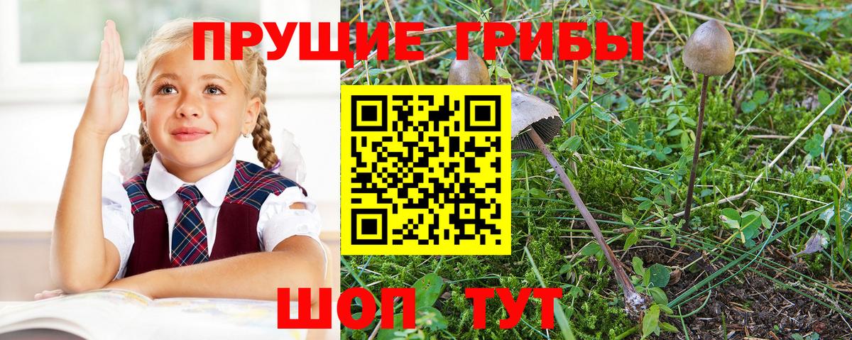 Галлюциногенные грибы Magic Shrooms  наркошоп  Ленинск-Кузнецкий  Вход с VPN 